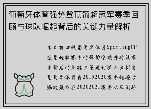 葡萄牙体育强势登顶葡超冠军赛季回顾与球队崛起背后的关键力量解析