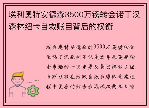 埃利奥特安德森3500万镑转会诺丁汉森林纽卡自救账目背后的权衡