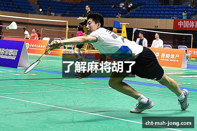 了解麻将胡了